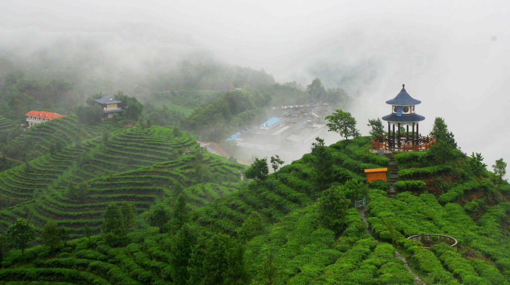 景谷茶山 景谷茶山