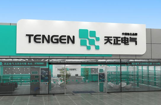 天正集团 天正集团