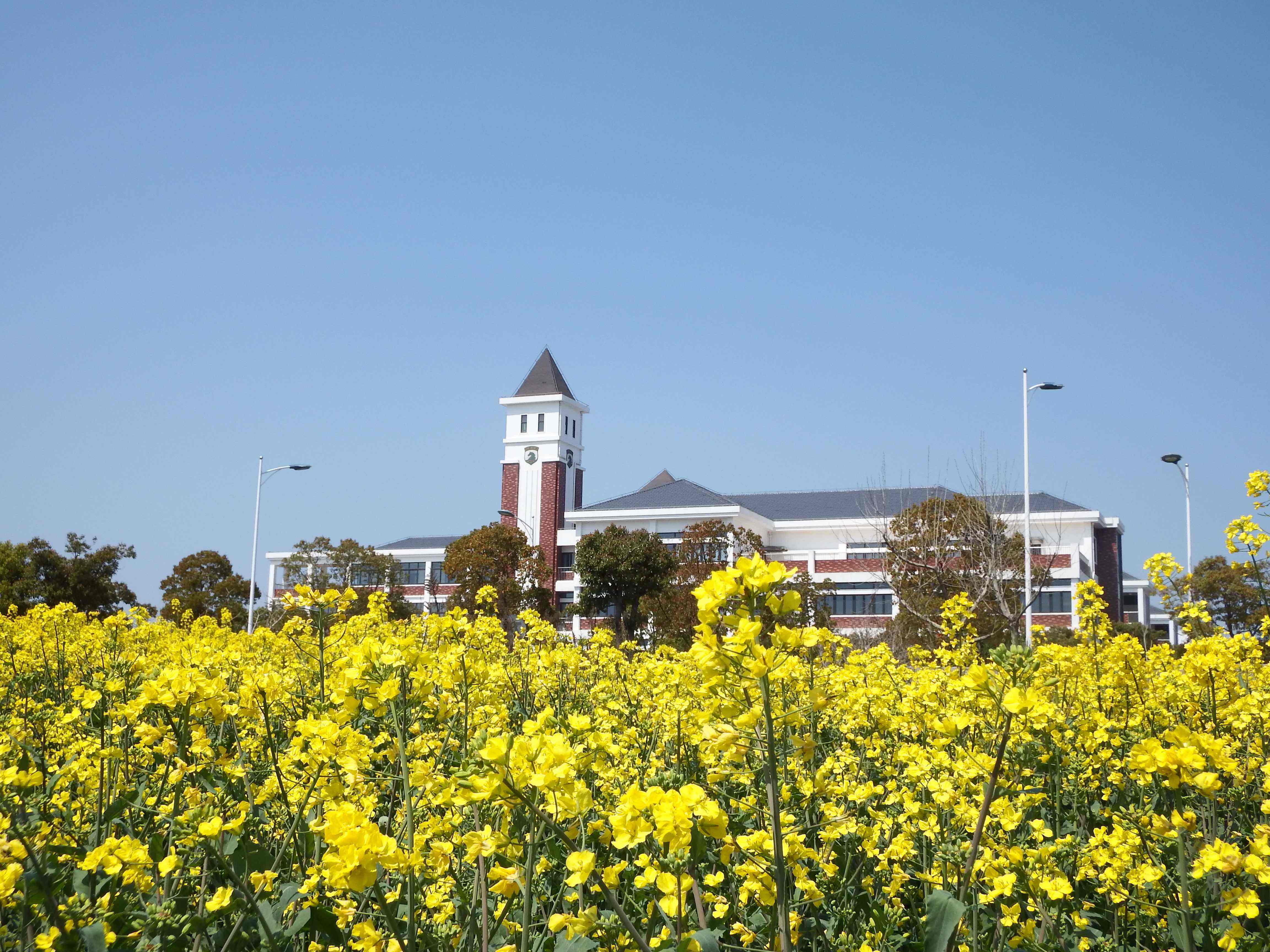 奉贤区汇贤中学 奉贤区汇贤中学