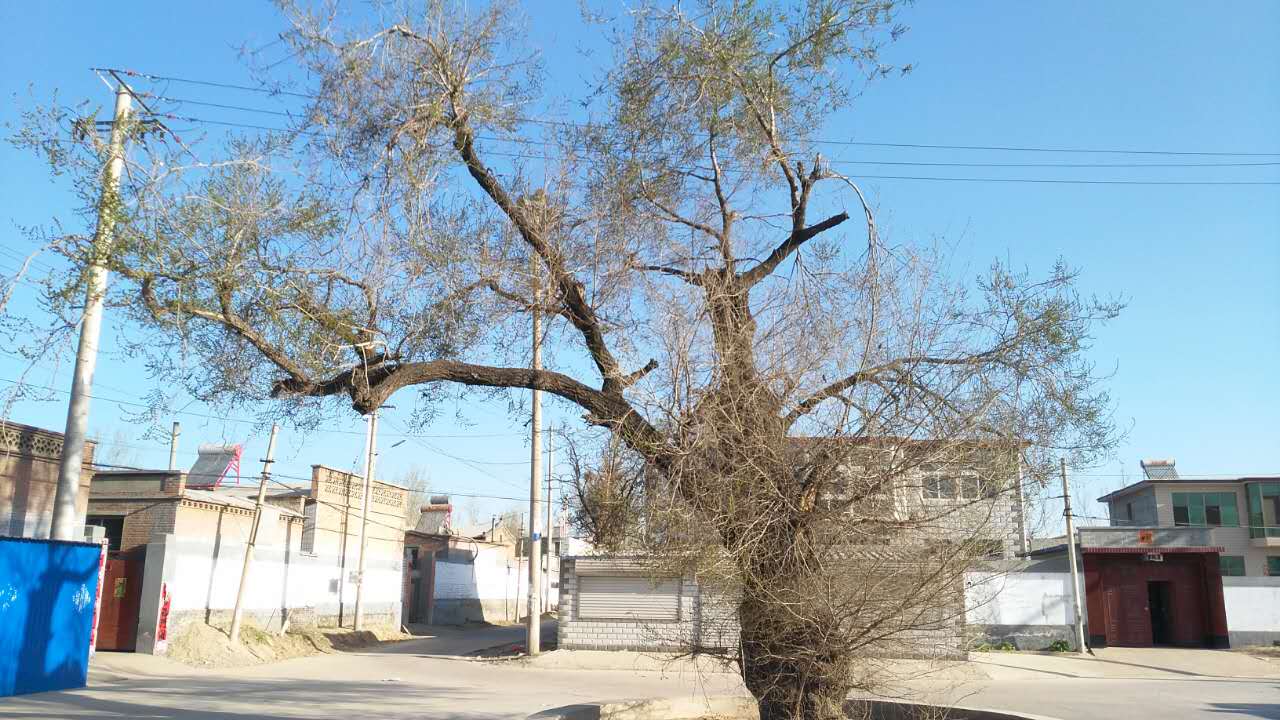 边各庄村(河北省保定市涿州市东城坊镇下辖村) 边各庄村(河北省保定市涿州市东城坊镇下辖村)