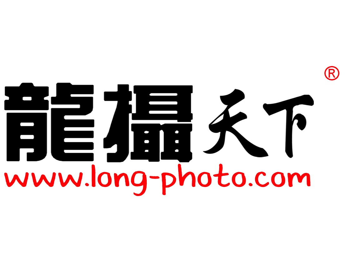 龙摄天下 龙摄天下