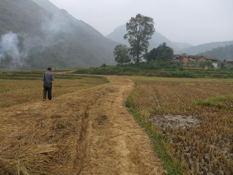入村道路 入村道路