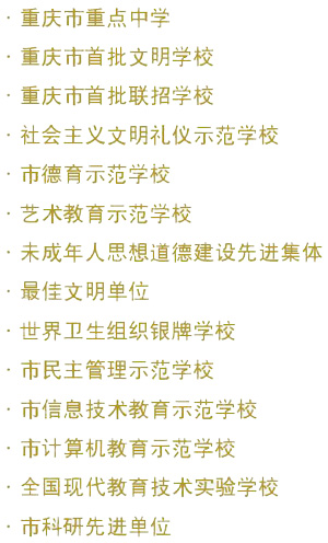 荣誉图 荣誉图