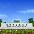 广州中医药大学继续教育学院 广州中医药大学继续教育学院