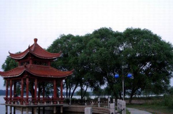 龙子湖区 龙子湖区