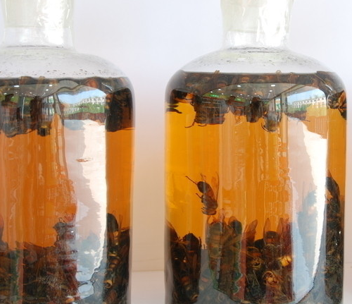 类风湿药酒 类风湿药酒