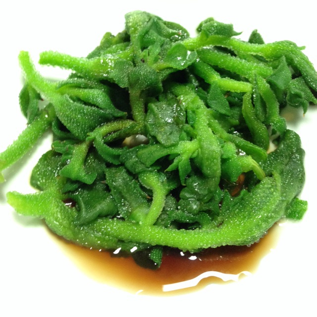 白灼非洲冰草