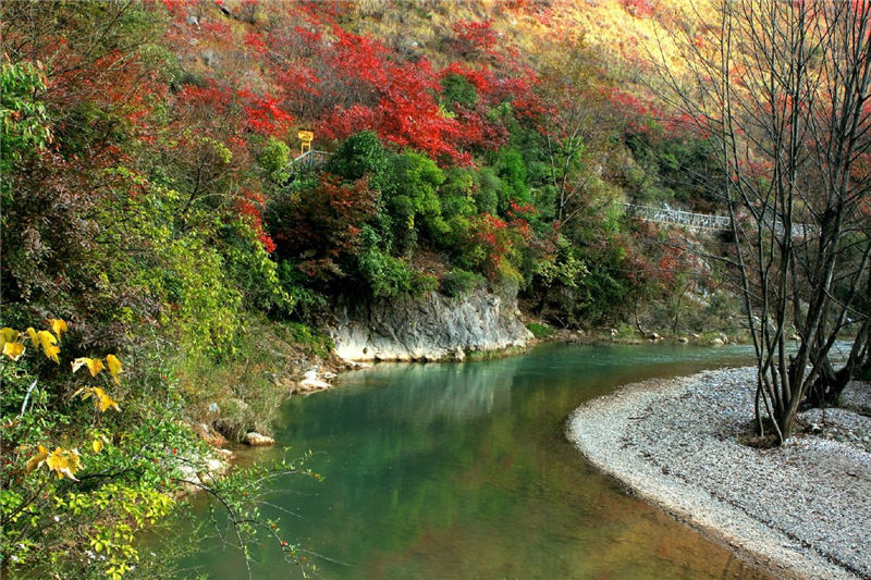 五龙河风景区 五龙河风景区
