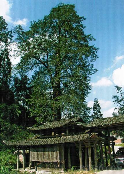 合併图册 合併图册