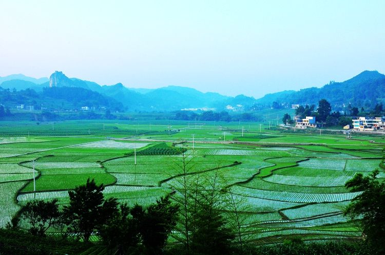 曲江镇景色 曲江镇景色