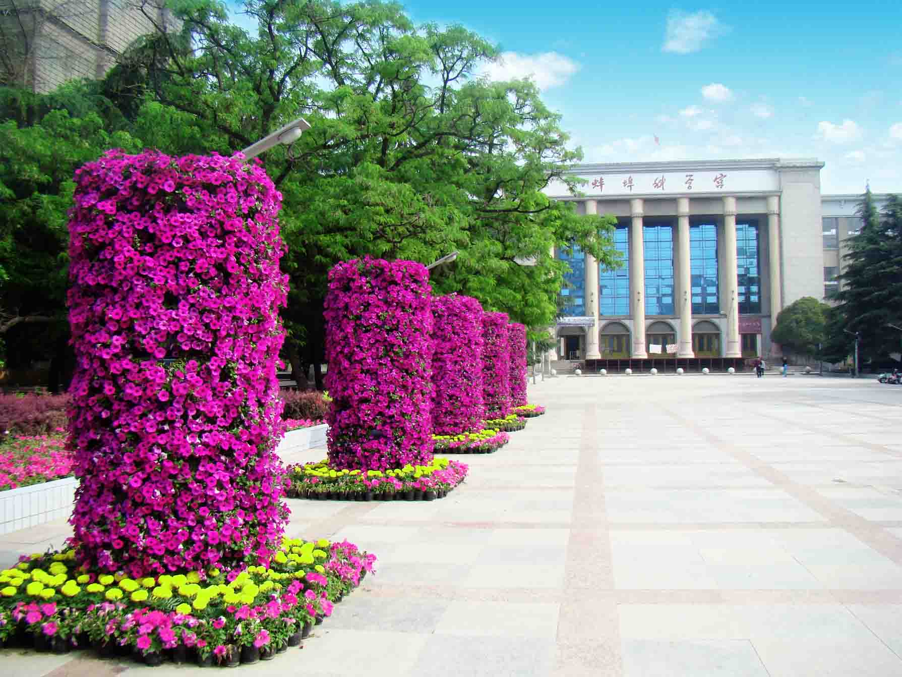 蚌埠市科学宫 蚌埠市科学宫