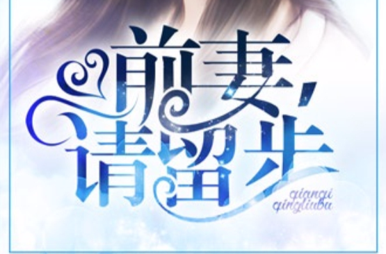 前妻,请留步 前妻,请留步
