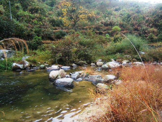 胜利镇 胜利镇