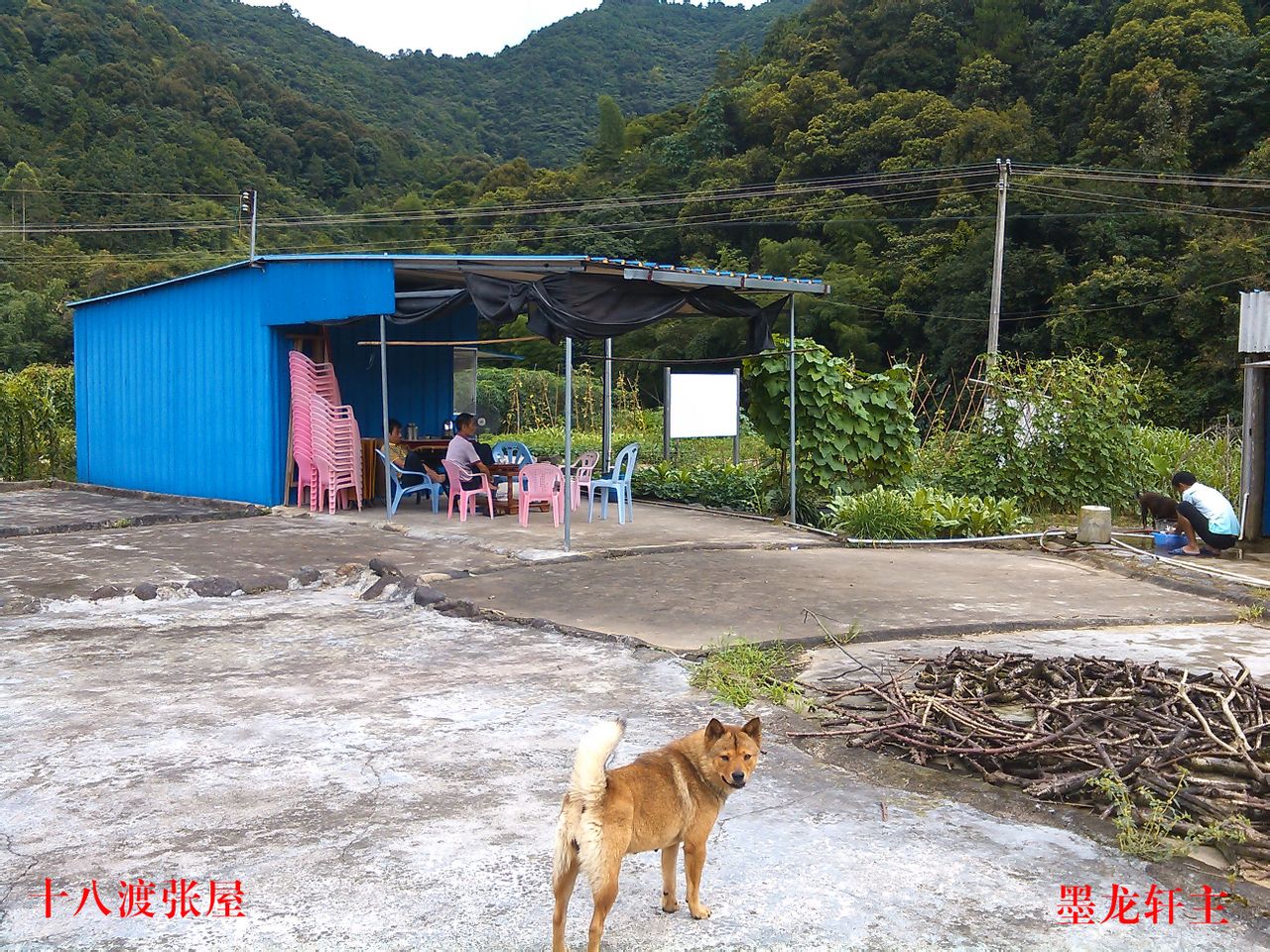 小店 小店