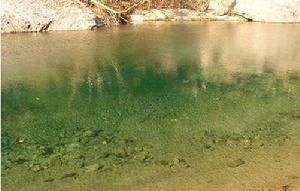 十八重溪溪水 十八重溪溪水