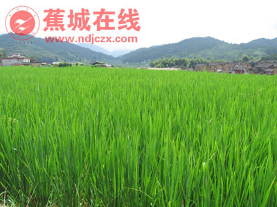 钟洋 钟洋