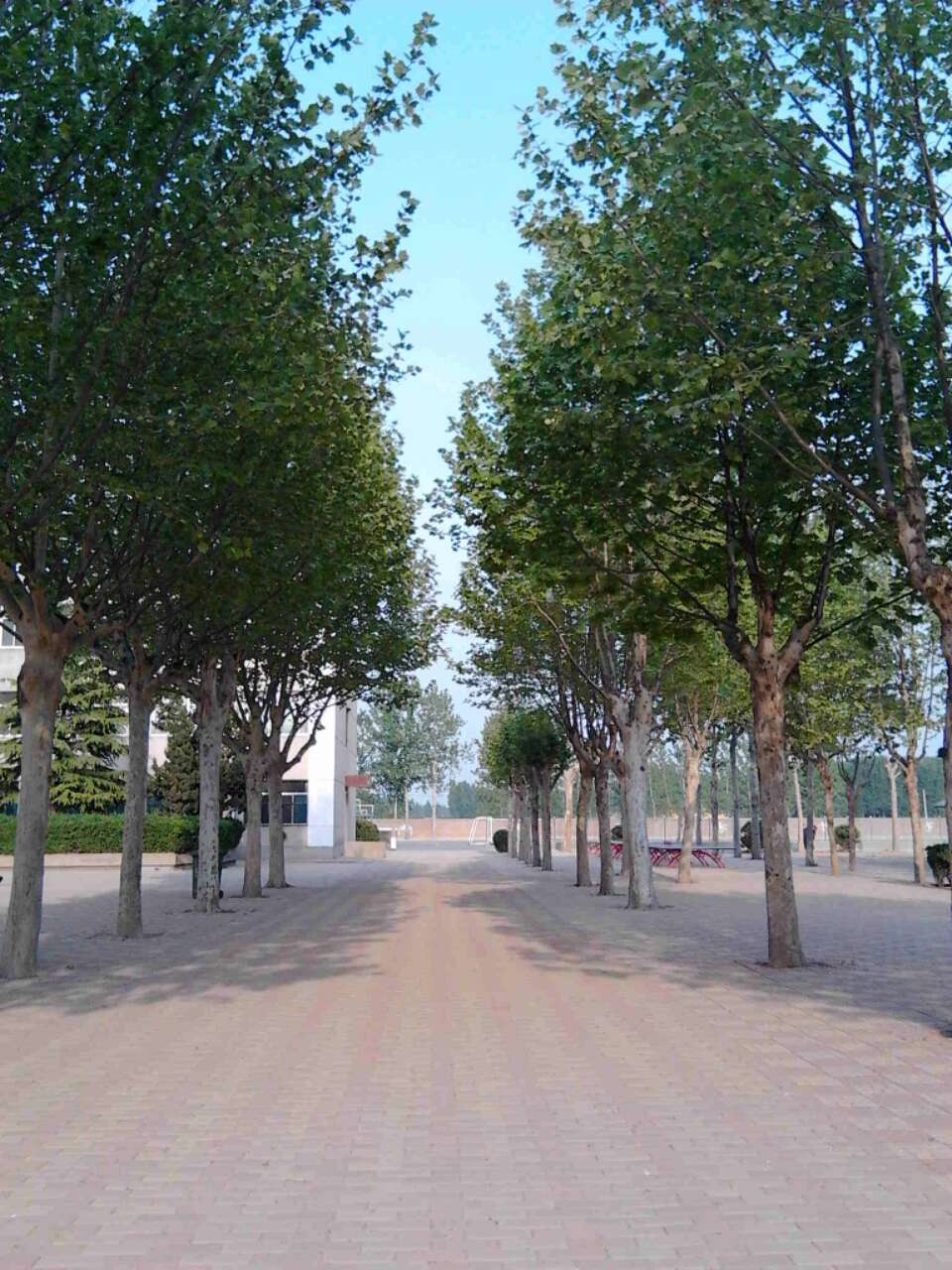 济南第五十二中学 济南第五十二中学