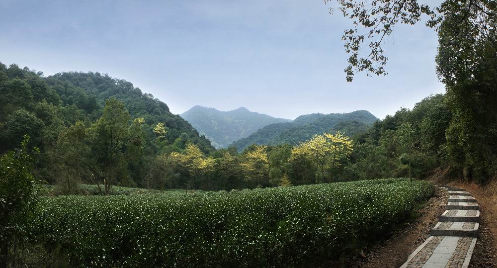 西山森林公园(杭州市) 西山森林公园(杭州市)