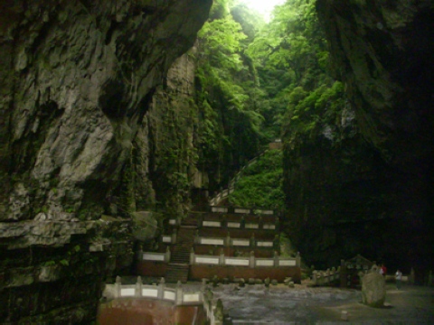 恐龙谷 恐龙谷