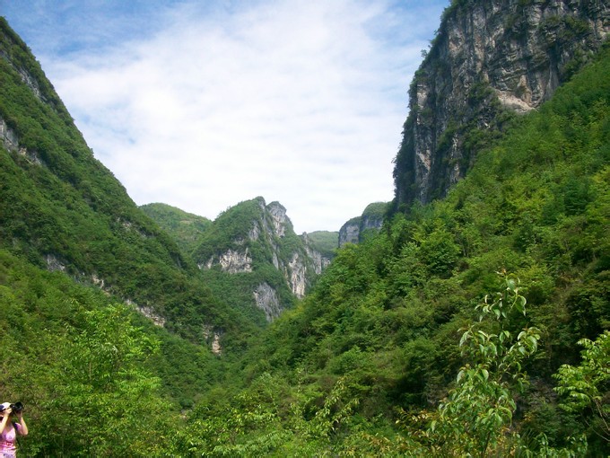 鹿院坪 鹿院坪