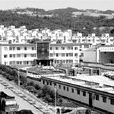 大冶镇 大冶镇