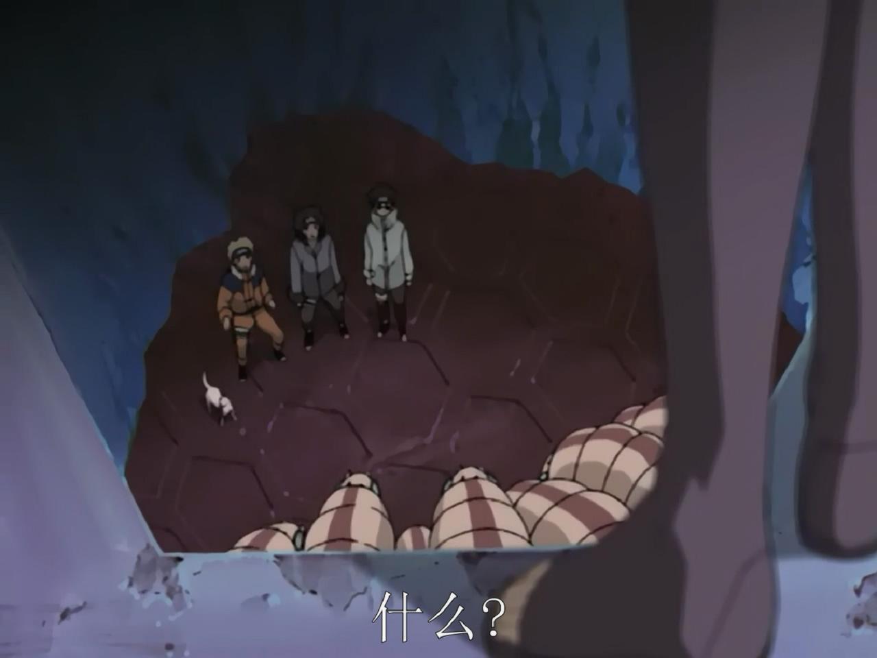 雀蜂 雀蜂