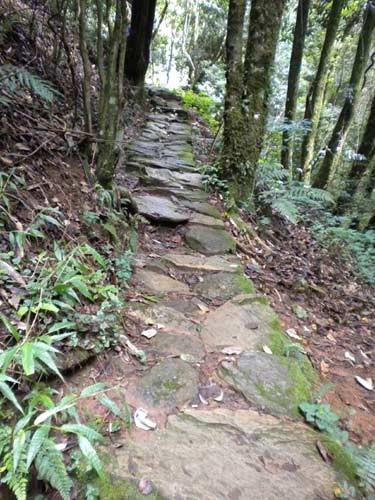 茶马古道 茶马古道