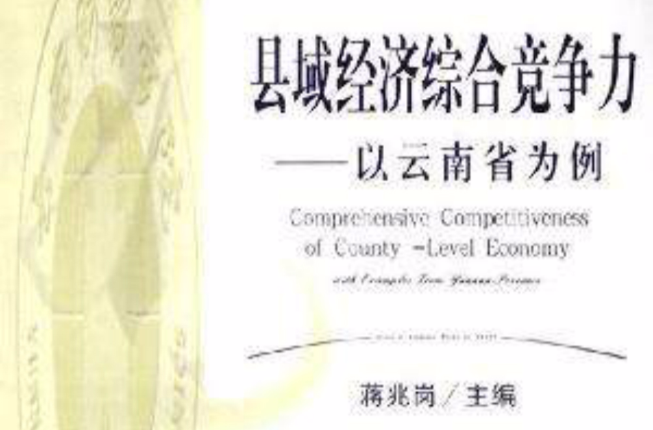 县域经济综合竞争力 县域经济综合竞争力