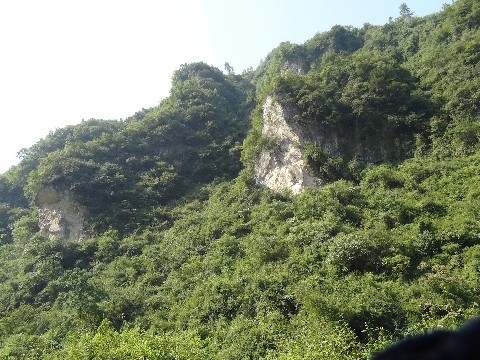 小吉场镇 小吉场镇