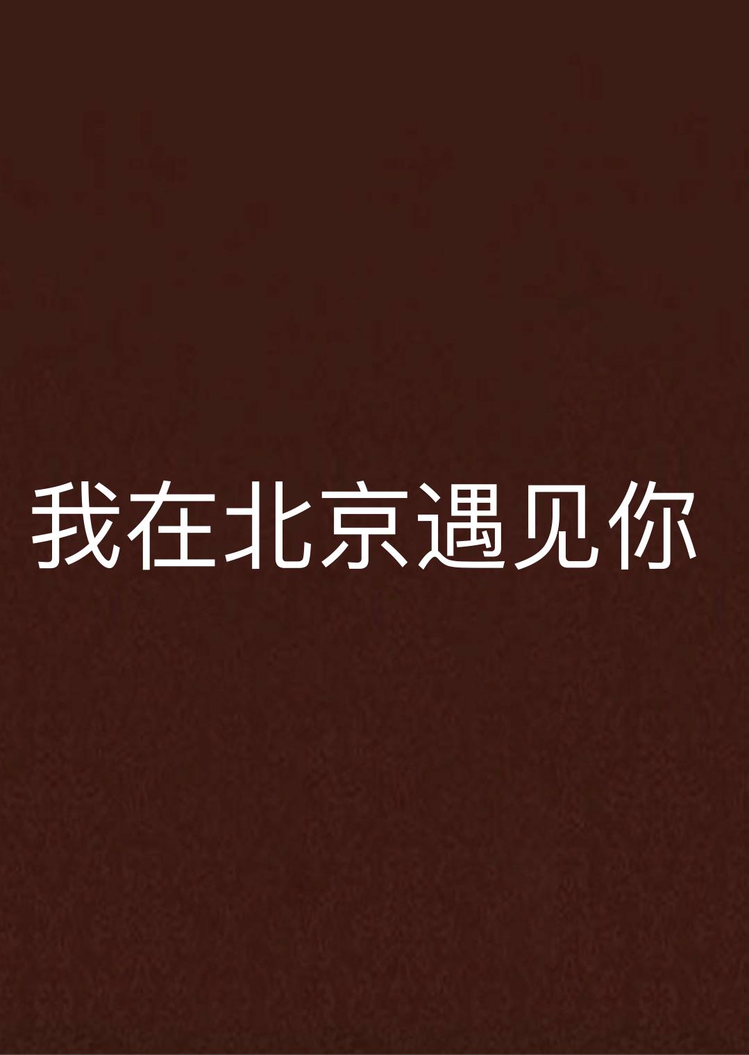 我在北京遇见你 我在北京遇见你