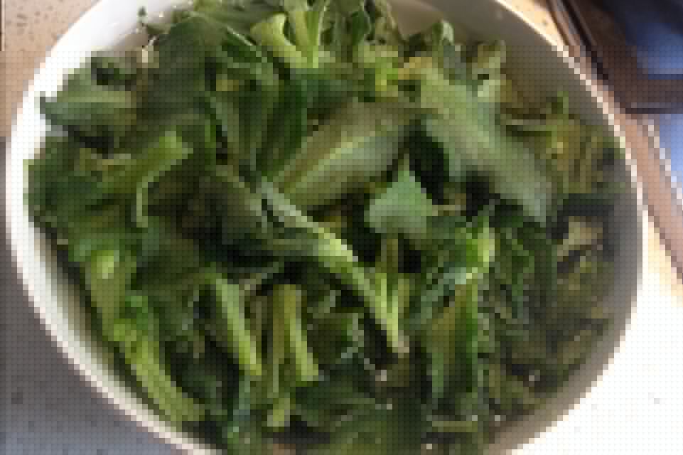 凉拌南非冰草