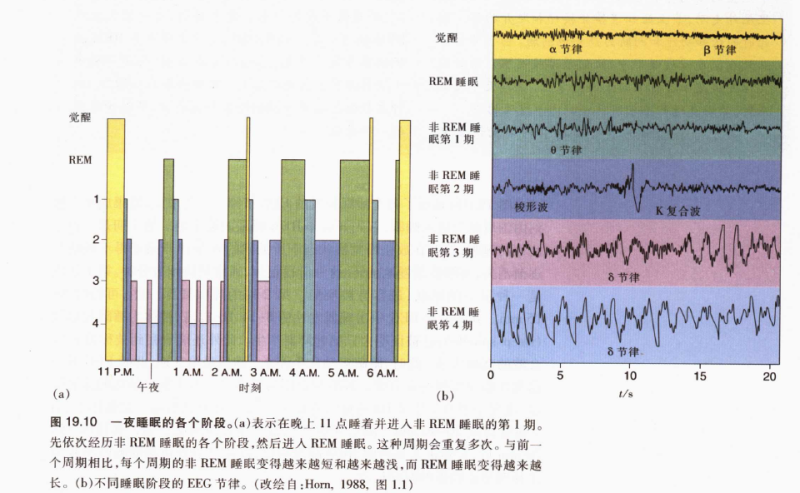 睡眠模式 睡眠模式