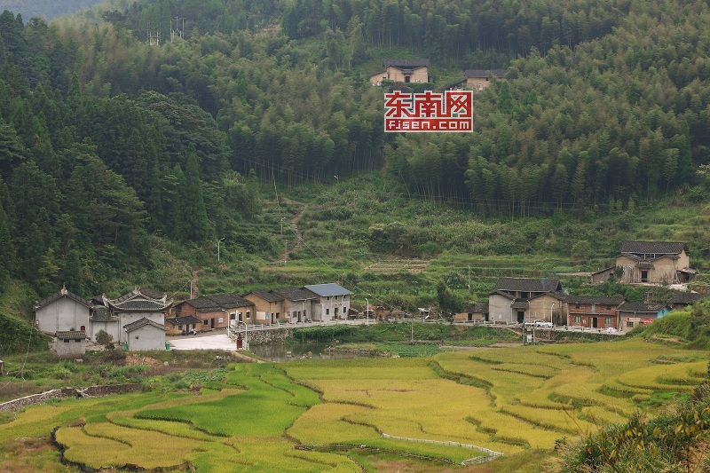 中共闽东地委诞生地 中共闽东地委诞生地