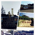 龙陵县 龙陵县