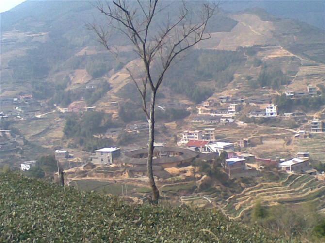 碧岭村 碧岭村