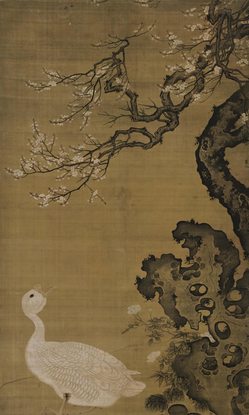 狮头鹅图 狮头鹅图