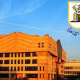 开罗大学 开罗大学