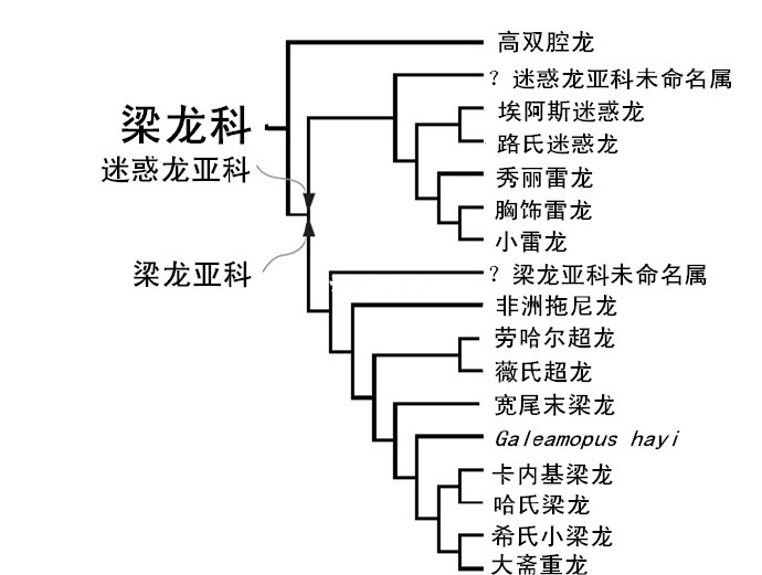 梁龙科物种 梁龙科物种