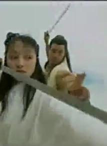 张大静