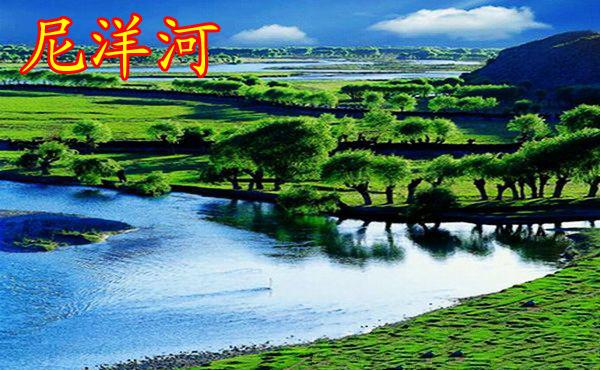 八一尼洋河 八一尼洋河
