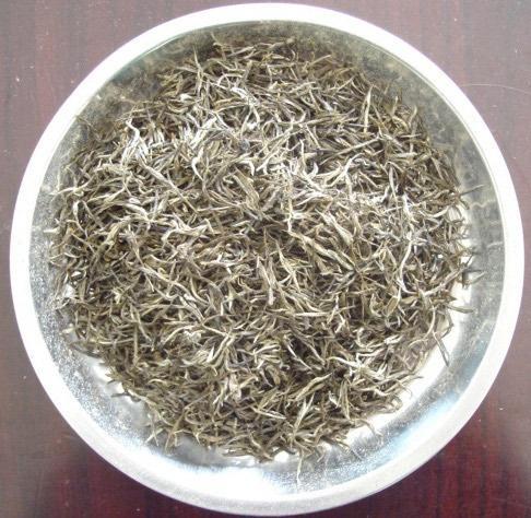 白豪银针茶 白豪银针茶