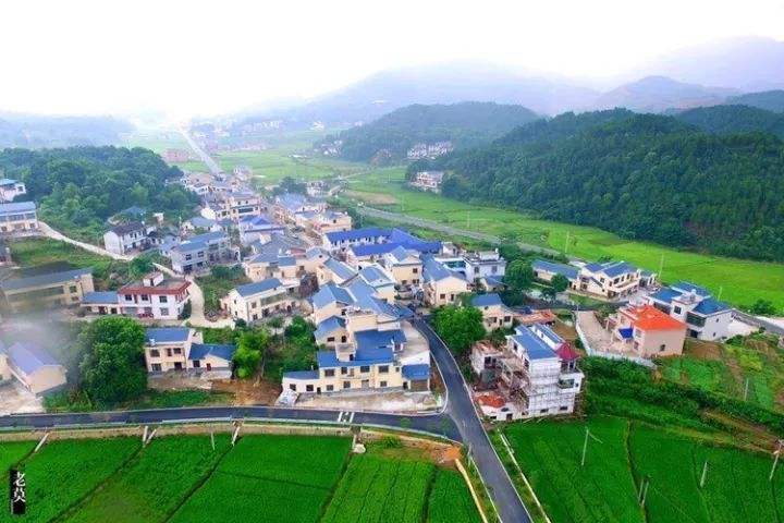 谷阳村(安徽省蚌埠市固镇县连城镇谷阳村) 谷阳村(安徽省蚌埠市固镇县连城镇谷阳村)