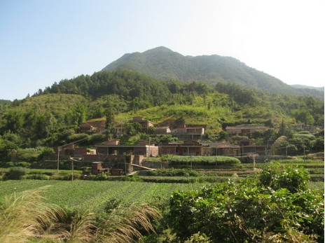 广桥村 广桥村