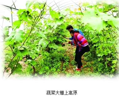仲果村 仲果村