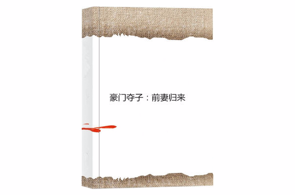 豪门夺子:前妻归来 豪门夺子:前妻归来