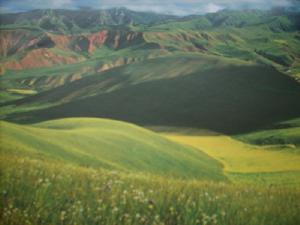 卓尔山 卓尔山