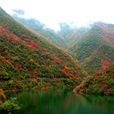 五龙河旅游风景区 五龙河旅游风景区