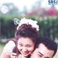 我愿意(韩国2000年宋承宪、金圭丽主演电视剧) 我愿意(韩国2000年宋承宪、金圭丽主演电视剧)