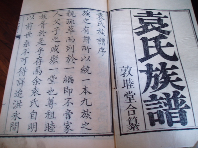 袁氏家谱 袁氏家谱
