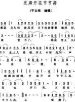 张英红